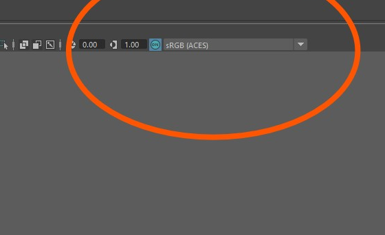 Maya viewport heads-up display showing the view transform reading sRGB (ACES), confirming ACES 1.2 colour management is active